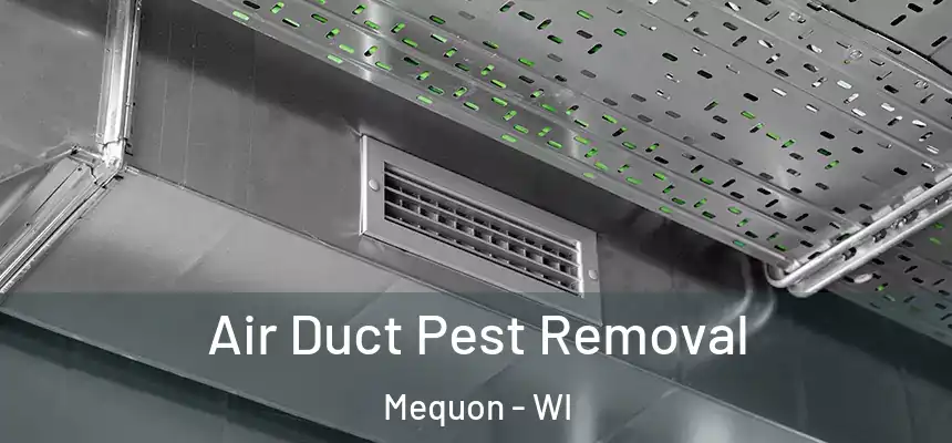  Air Duct Pest Removal Mequon - WI