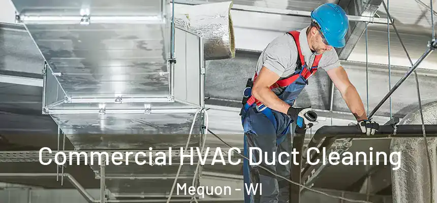 Commercial HVAC Duct Cleaning Mequon - WI