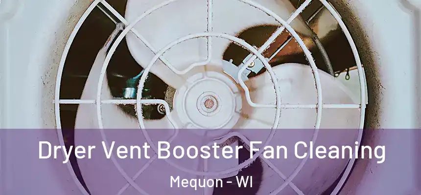 Dryer Vent Booster Fan Cleaning Mequon - WI