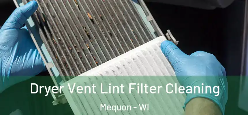  Dryer Vent Lint Filter Cleaning Mequon - WI