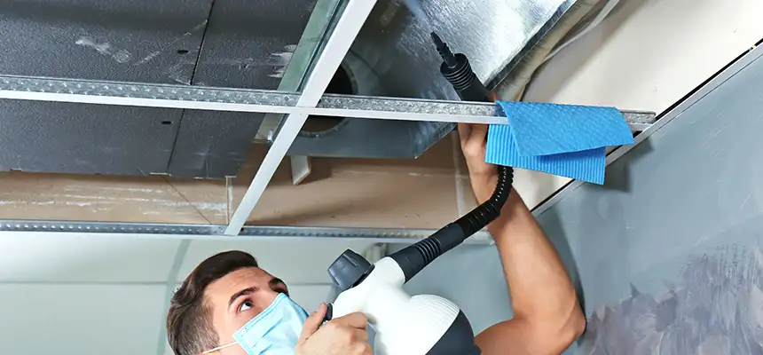 Our Air Duct Rodent Removal Services in Mequon, WI