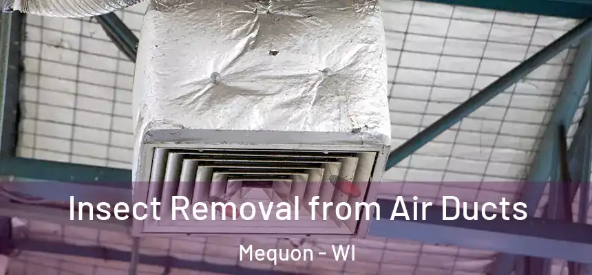 Insect Removal from Air Ducts Mequon - WI