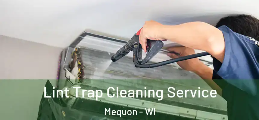  Lint Trap Cleaning Service Mequon - WI