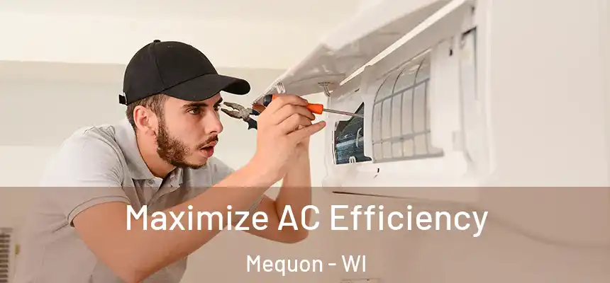 Maximize AC Efficiency Mequon - WI