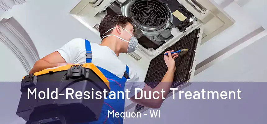  Mold-Resistant Duct Treatment Mequon - WI