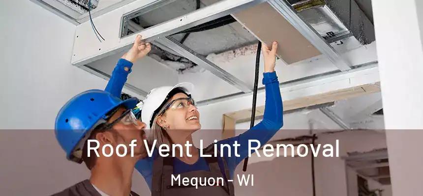 Roof Vent Lint Removal Mequon - WI