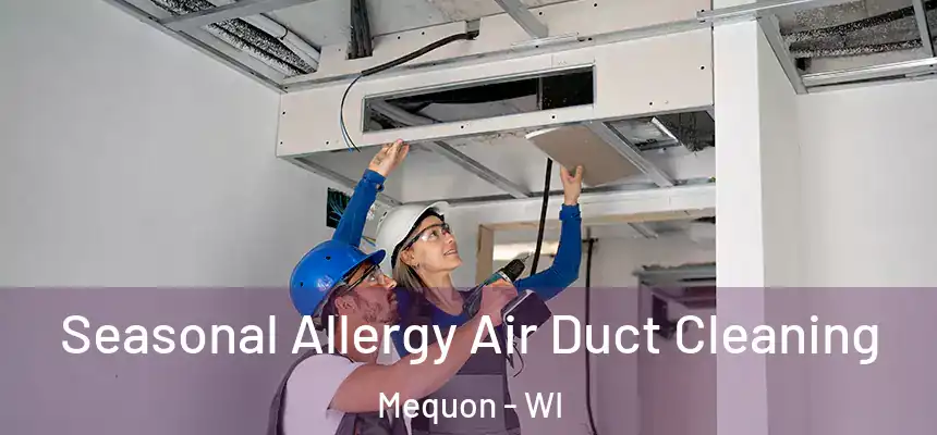 Seasonal Allergy Air Duct Cleaning Mequon - WI