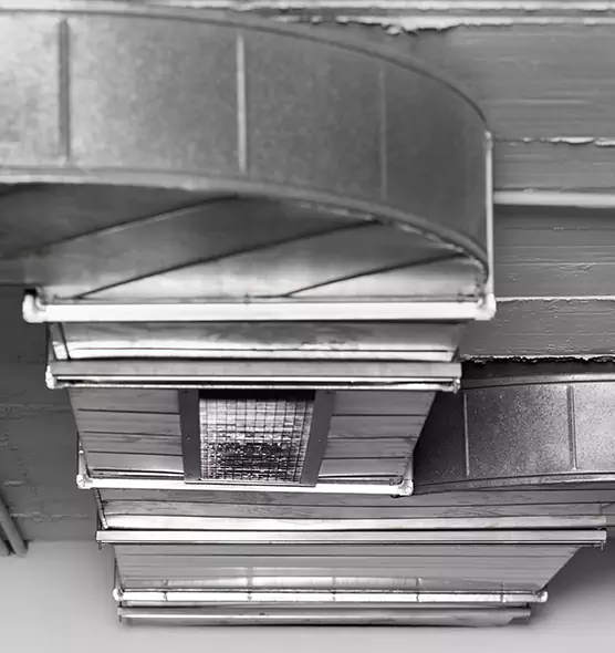 Professional Air Duct Pest Removal in Mequon, WI