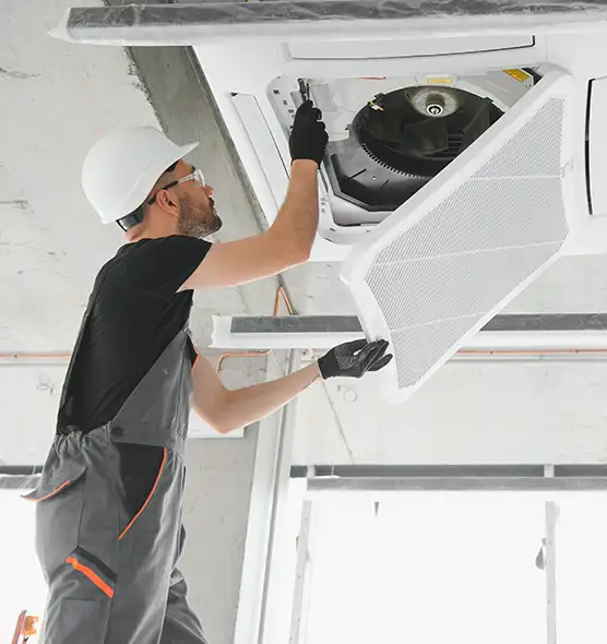 About Air Duct Rodent Removal in Mequon, WI