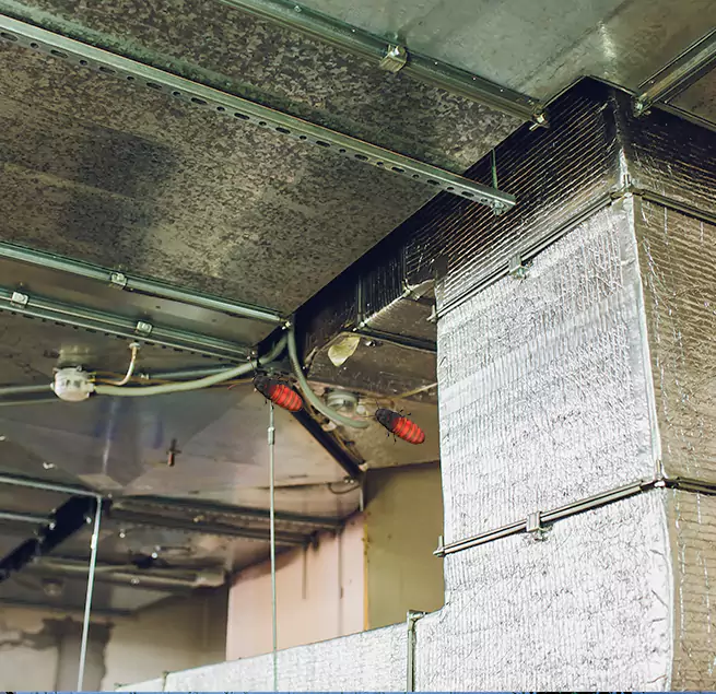 Why Homeowners & Businesses Trust Us in Mequon, WI?