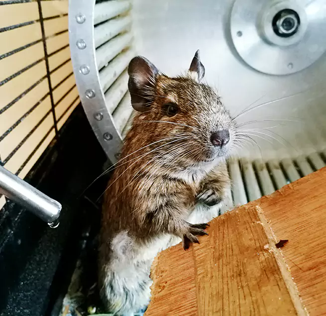 Why Homeowners & Businesses Trust Us Mequon, WI